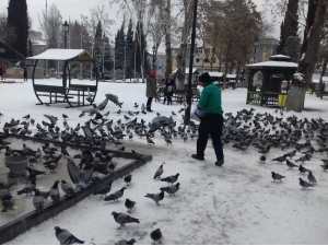 Gaziantep’te Sokak Hayvanlarını Unutulmadı