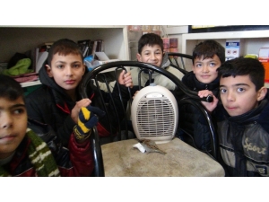 Kartopu Oynayan Çocuklar Donmak Üzere Olan Serçeyi Veterinere Yetiştirdi