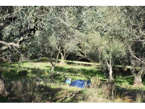 Eski Başkanın Kuzeni Tarlada Ölü Bulundu