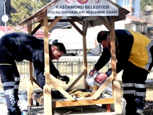 Kastamonu’da Sokak Hayvanlarına Yiyecek Desteği