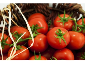 Domates İhracatta Rekor Kırdı