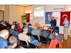 Limonda Yüksek Verimli Çeşit