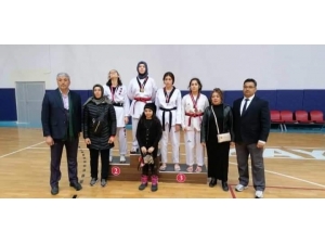 Okullar Arası Gençler Taekwondo İl Birinciliği Müsabakaları Tamamlandı