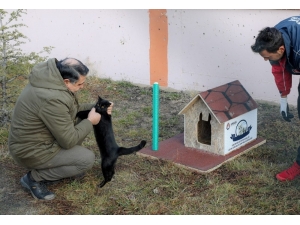 Sincan’da Okul Bahçesi Hayvanlarla Renklendi