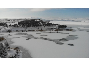 Elazığ’da Soğuktan Baraj Dondu