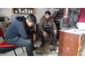 Ahlat’tan Soğuk Kış Gününde Yürekleri Isıtan Görüntü