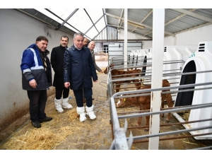 Şahin, "Sektörün Lokomotif İşletmelerinin Her Zaman Yanındayız"