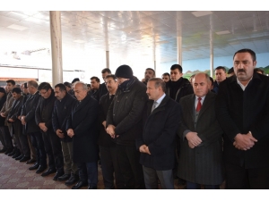 Çomaklı Ailesinin Acı Günü