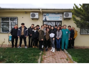 Öğrenciler Hayvan Sevgisini Bakımevindeki Hayvanlarla Pekiştirdi