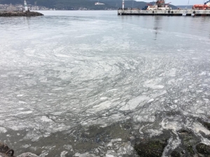 Çanakkale Boğazı’nda Ortaya Çıkan Gizemli Tabaka İncelenecek