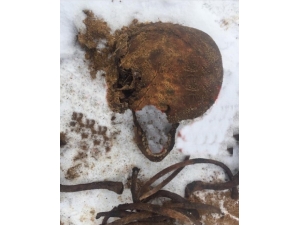 Kavşak Yapımı Sırasında Rus Mafyası Üyelerinin İskeletleri Ortaya Çıktı