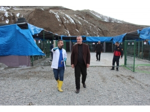 Başkan Turanlı: “Hayvanlar, Allah’ın Bize Emanetleridir”