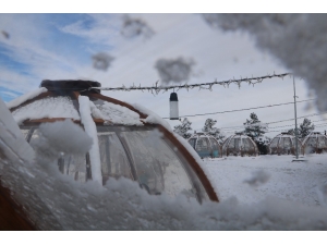 Dondurucu Soğuğa Karşı Cam Fanuslu Çözüm