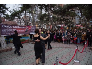 Bir Anda Ortaya Çıktılar, Vatandaşlar Şaşkınlıklarını Gizleyemedi