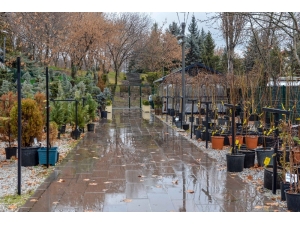 Ankara’da Yerli Bitki Üreticileri Kazanacak