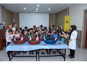 Konya’da, “Yerli Tohum Milli Tarım” Projesi