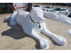 Sivaslının Kardan Adamı Böyle Olur