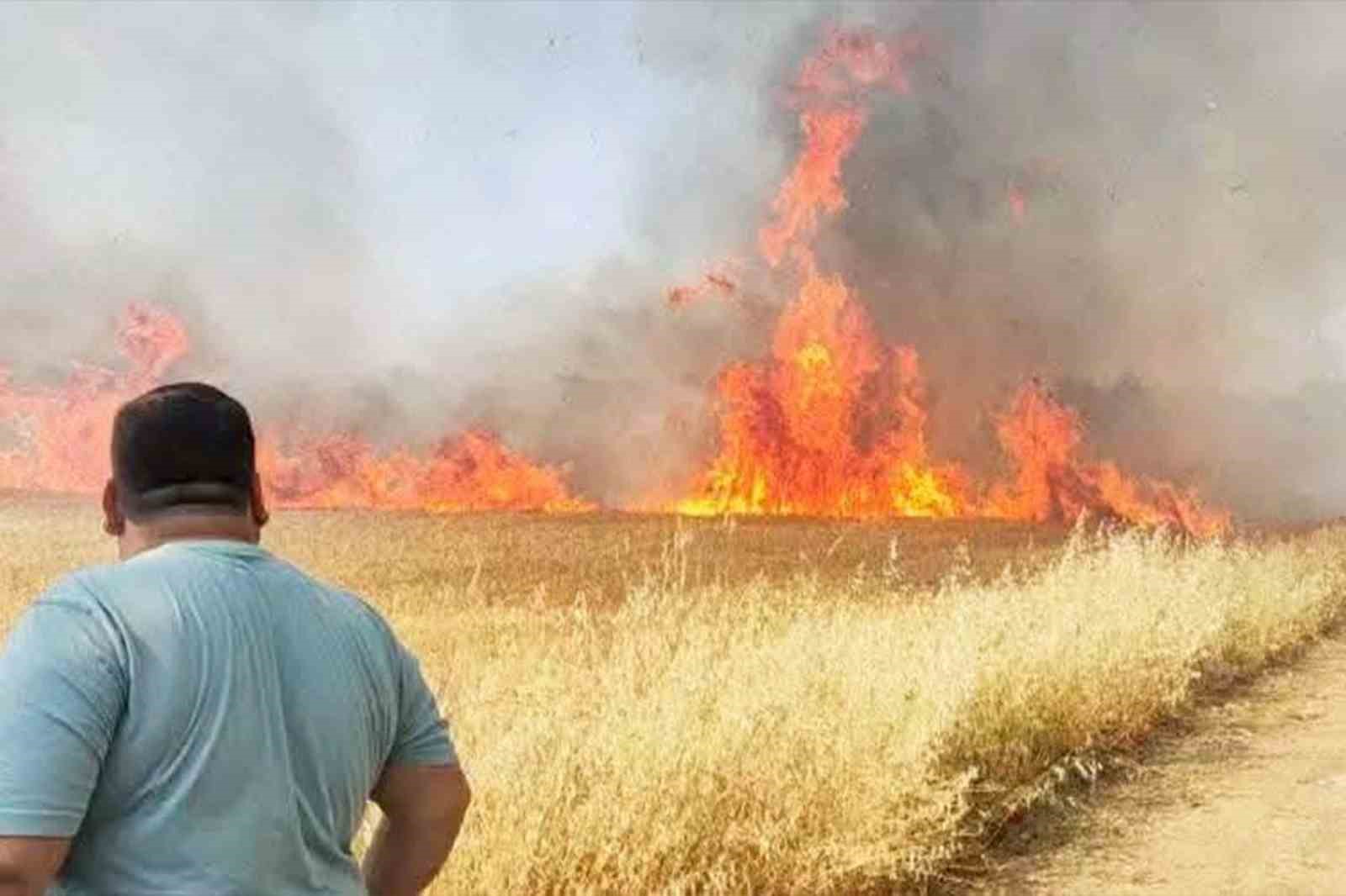 sanliurfa-da-bugday-tarlasinda-korkutan-yangin