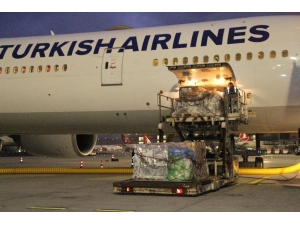 İki Tarihi Eser Türkiye’ye Yeniden Kazandırıldı