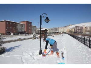 Bayburt Belediyesi Sokak Hayvanlarını Unutmuyor