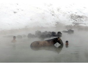 Mandaların Kaplıca Keyfi