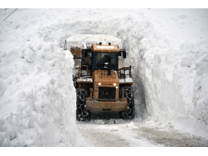 Gümüşhane’de 7 Kez Çığ Düşen Köy Yolu Ulaşıma Açıldı