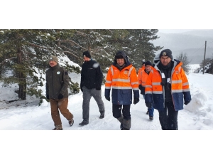 Bakan Pakdemirli, İyileşen Gökdoğanı Doğaya Bıraktı