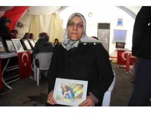 Ailelerin Direnişi Sürüyor, Terör Örgütü Pkk’da Çözülmeler Devam Ediyor