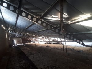 Karın Ağırlığına Dayanamayan Ahırın Çatısı Çöktü