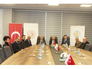 Kastamonu’daki Endüstriyel Orman Ürünleri Tesisinin Enerjisi Ges’ten Karşılanacak