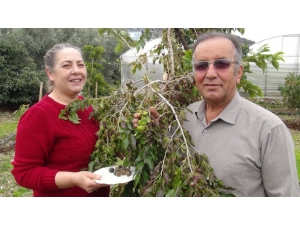 Türkiye’de İlk Kez Üretildi