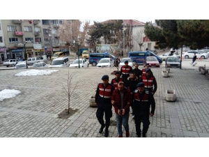 Eskişehir’de Küçükbaş Hayvan Hırsızları Tutuklandı