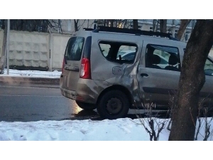 Rusya’da At İle Otomobil Çarpıştı