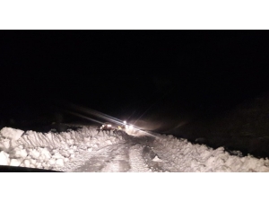 Siirt’te 30 Köy Yolu Ulaşıma Kapandı