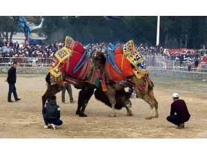 Nazilli Arenası Tarihi Günlerinden Birini Daha Yaşadı