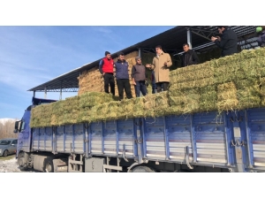 Milletvekili Aydemir Kırsalın Nabzını Tuttu