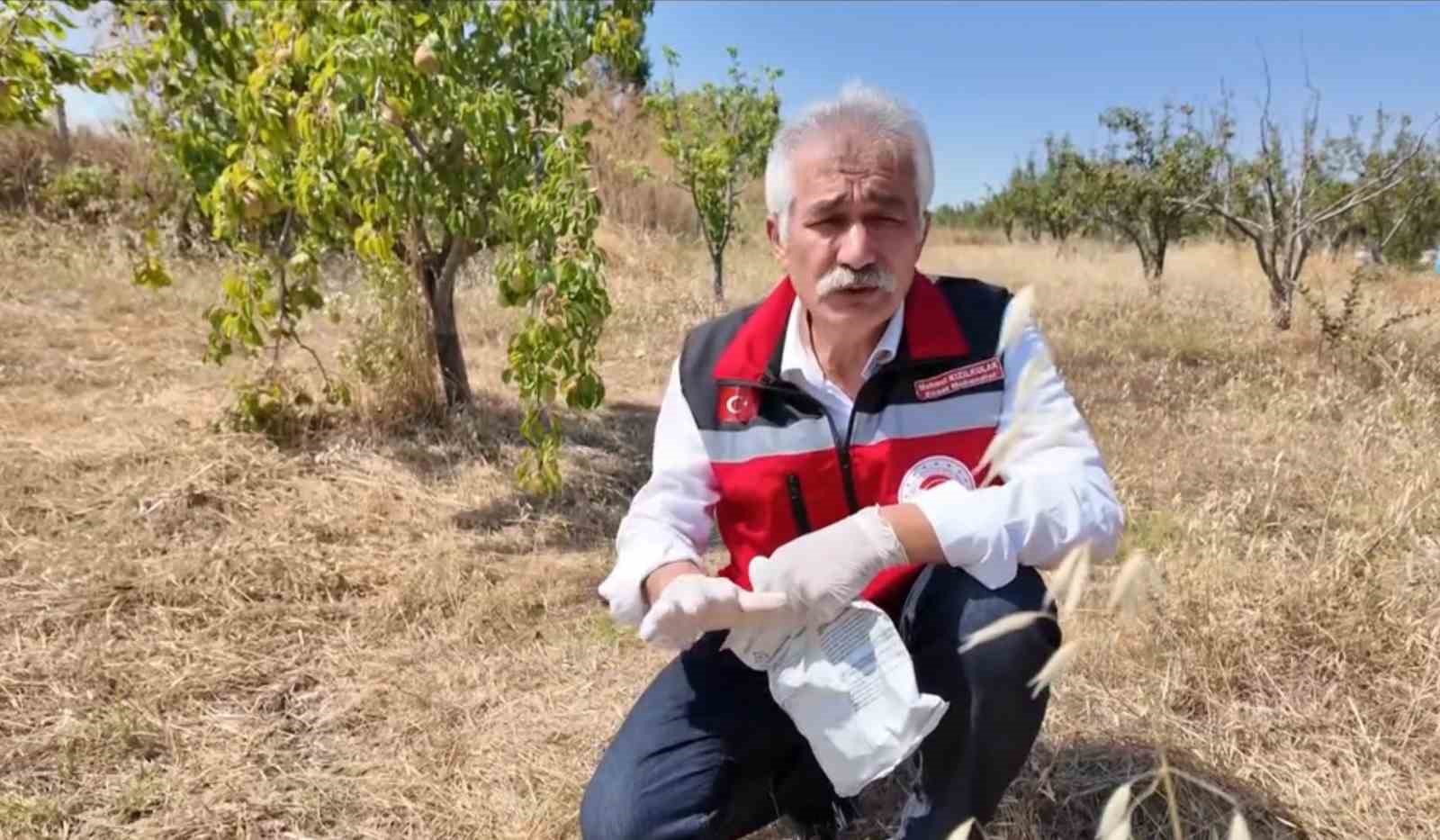tekirdag-da-ciftciye-tarla-faresine-karsi-zamaninda-mucadele-cagrisi