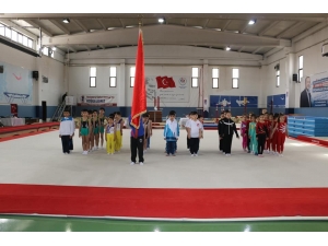 Analig Cimnastik’te Kayseri Kız Ve Erkek Takımları Yarı Finale Yükseldi