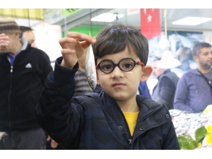 Denizli’de Balık Fiyatları Vatandaşları Memnun Etmedi