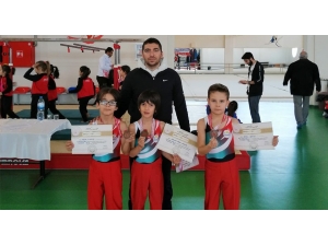 Karaman Jimnastik Ve Badminton Analig Takımları Bir Üst Turda