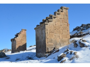 Gesi Kuş Evleri, Melikgazi Korumasında