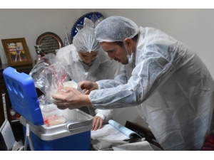 Bakan Pakdemirli Talimat Verdi, Ekipler Seferber Oldu