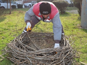 Leylek Yuvaları Yenilendi, Ev Sahiplerini Bekliyor