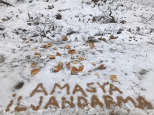 Yaban Hayvanları İçin Doğaya Yiyecek Bırakıldı