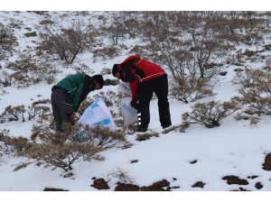 İhh Ekipleri Bu Kez Dağ Keçilerini Besledi