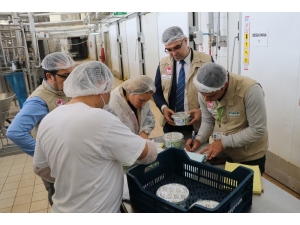 Adana’da Süt Ve Süt Ürünlerine Yönelik Denetim