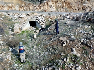 Akıllı Köpekler Jandarmanın Gözü Kulağı Oluyor