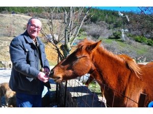 Spil’in Yılkı Atları, Onun Yolunu Gözlüyor