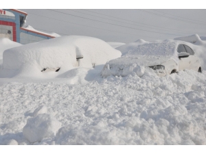 Yüksekova’da Evler Ve Arabalar Kara Gömüldü