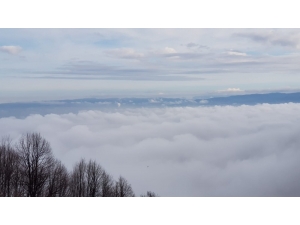 Sis Ulaşımı Etkiledi